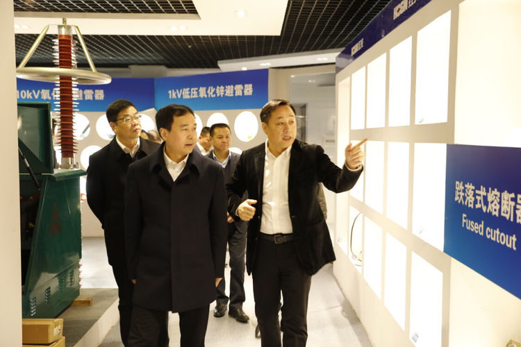 温州市委常委、组织部长马永良莅临凯时尊龙人生就是博电气集团调研指导